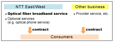 Overview of a contract with NTT East/West, followed by description in text