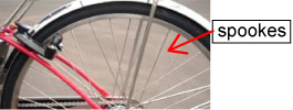 Photo of spokes of a wheel
