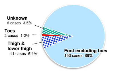  Graph of breakdown of cases by injured area, followed by descriptions in text