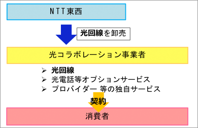 消費者は「光回線」と「光電話等オプションサービス」と「プロバイダー等の独自サービス」をNTT東西から光回線の卸売を受けた光コラボレーション事業者と契約する。