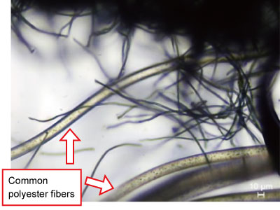  The photo shows common polyester fibers and microfibers of the product under complaint. The microfiber is much thinner than common polyester fibers.