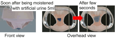 Photos of normal underpants moistened with 5ml artificial urine, followed by description in text