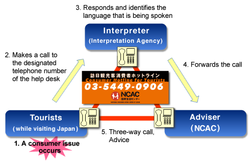 image: Flow of the consultation