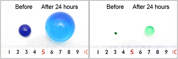 Photo of resin balls before and after being soaked in artificial intestinal juice