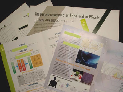 iPS細胞・STAP細胞の関連事業に関するパンフレットの写真