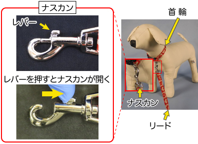 当該品の犬用リードの構造を表した写真。首輪とリードをつなぐナスカンはレバーを押すと開く構造である。
