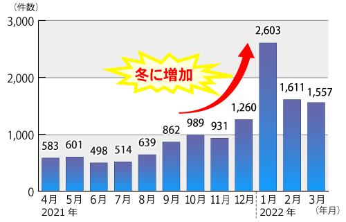 2021ǯ٤Υ󥿡ͥåΤΡֵȡפ˴ؤ̷η̿ܤΥադ³ƥƥȤˤܺ١